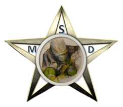 MSD Star Welding Logo